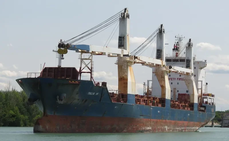 TALIA H General Cargo IMO 9359947 photo 9