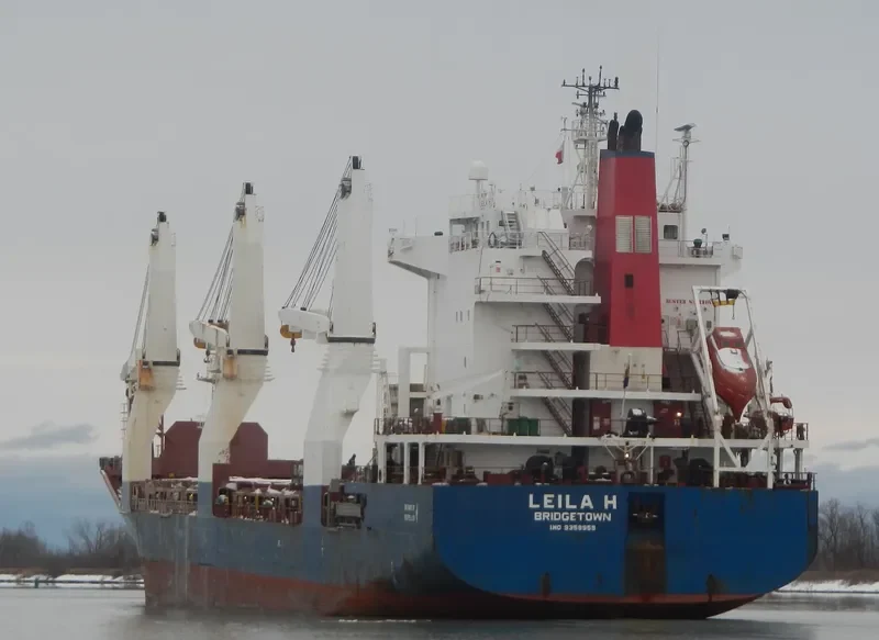 BOCS SPIRIT General Cargo IMO 9359959