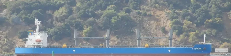 WEST WIND Bulk Carrier IMO 9360013 photo 10