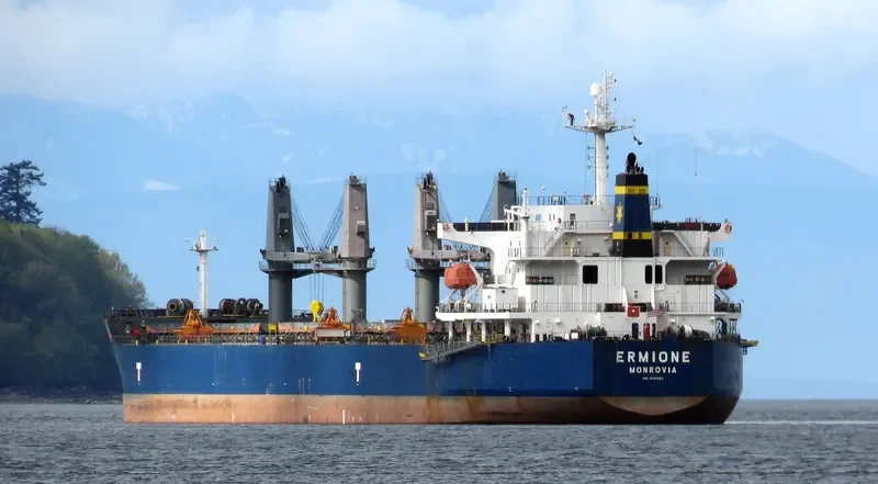 ERMIONE Bulk Carrier IMO 9360025 photo 7
