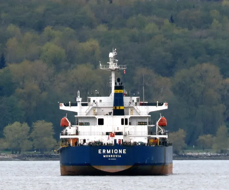 ERMIONE Bulk Carrier IMO 9360025 photo 8