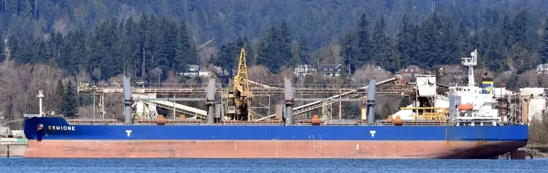 ERMIONE Bulk Carrier IMO 9360025 photo 10