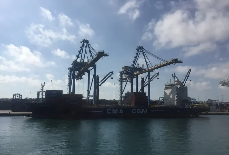 CMA CGM HERODOTE Container Ship IMO 9360142