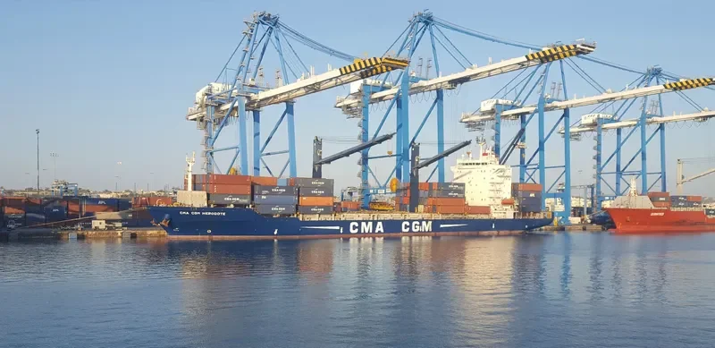 CMA CGM HERODOTE Container Ship IMO 9360142 photo 2