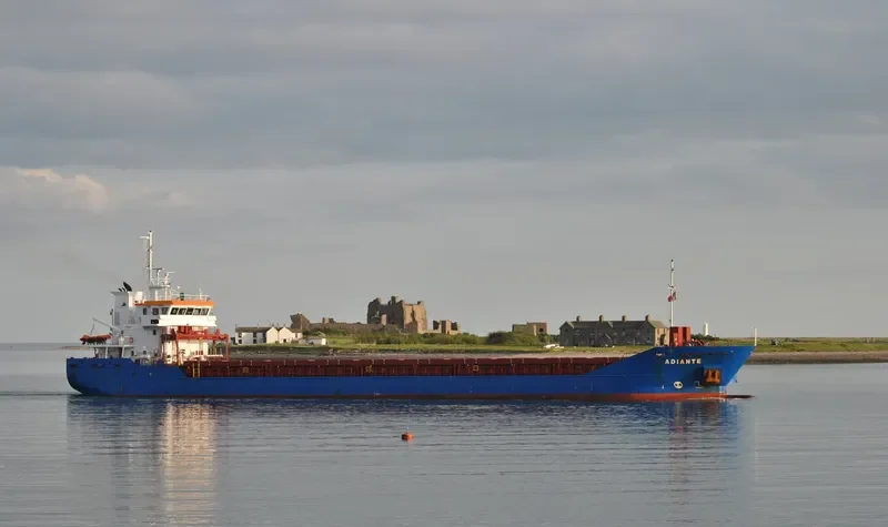 ADIANTE General Cargo IMO 9360477 photo 7