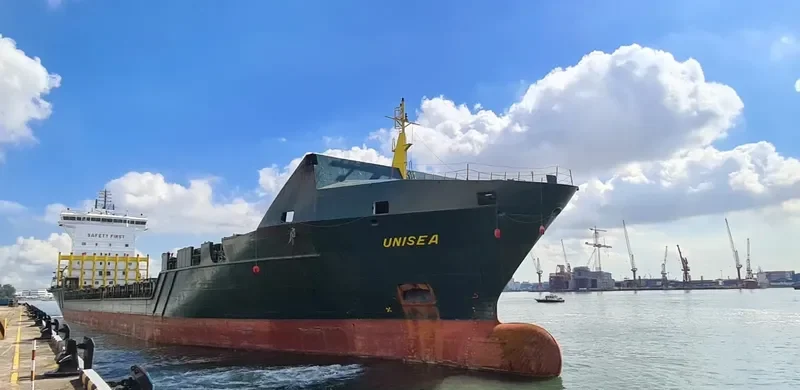 IMKE SCHEPERS Container Ship IMO 9360520 photo 2