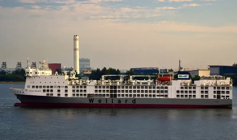 OCEAN SWAGMAN General Cargo IMO 9360776