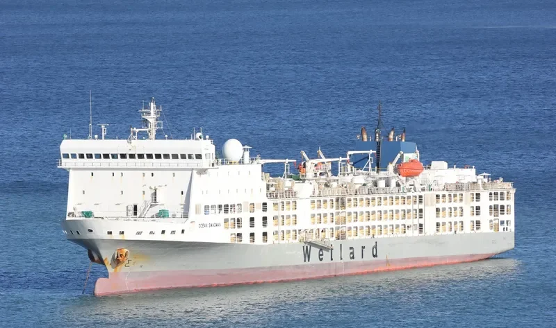 OCEAN SWAGMAN General Cargo IMO 9360776 photo 5