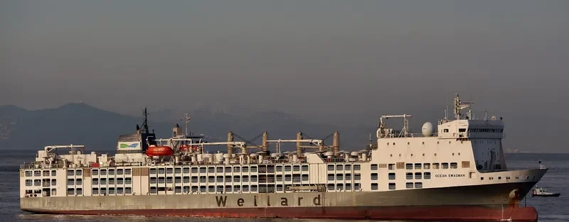 OCEAN SWAGMAN General Cargo IMO 9360776 photo 7