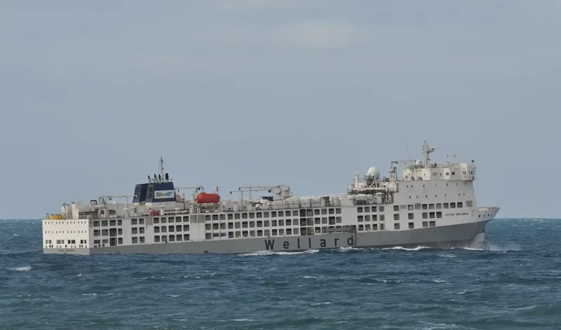 OCEAN SWAGMAN General Cargo IMO 9360776 photo 8