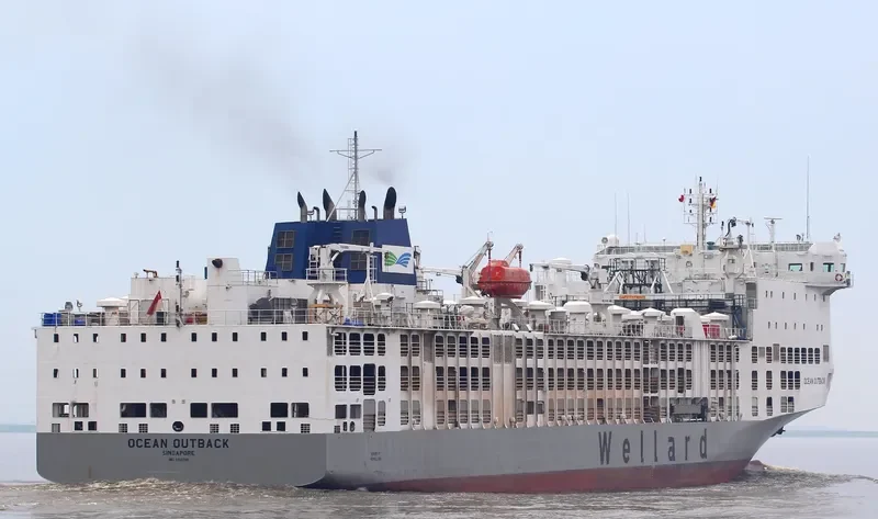 BAHIJAH General Cargo IMO 9360788 photo 2