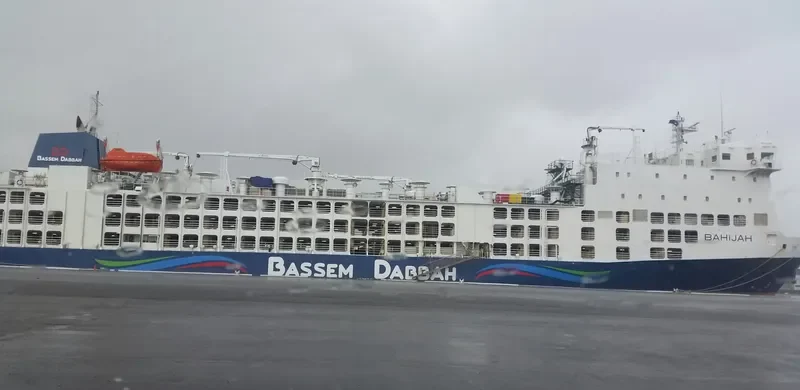 BAHIJAH General Cargo IMO 9360788 photo 4