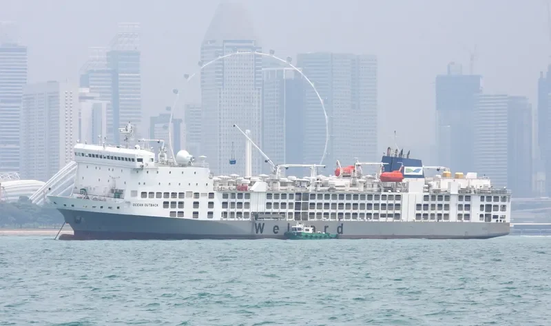 BAHIJAH General Cargo IMO 9360788 photo 10