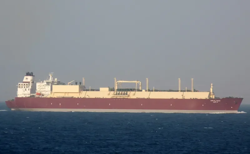 UMM AL AMAD General Cargo IMO 9360829 photo 6