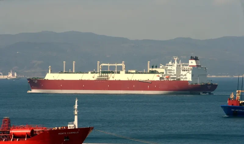 UMM AL AMAD General Cargo IMO 9360829 photo 8