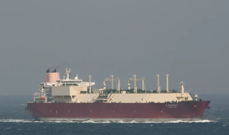 AL SHEEHANIYA General Cargo IMO 9360831 photo 4