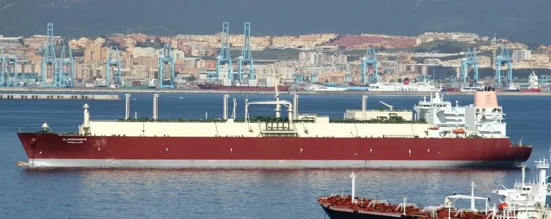 AL SHEEHANIYA General Cargo IMO 9360831 photo 8
