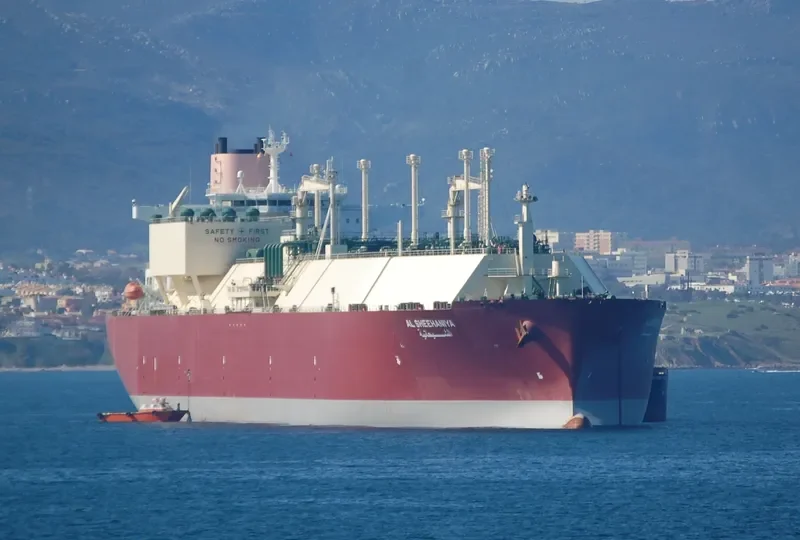 AL SHEEHANIYA General Cargo IMO 9360831 photo 9