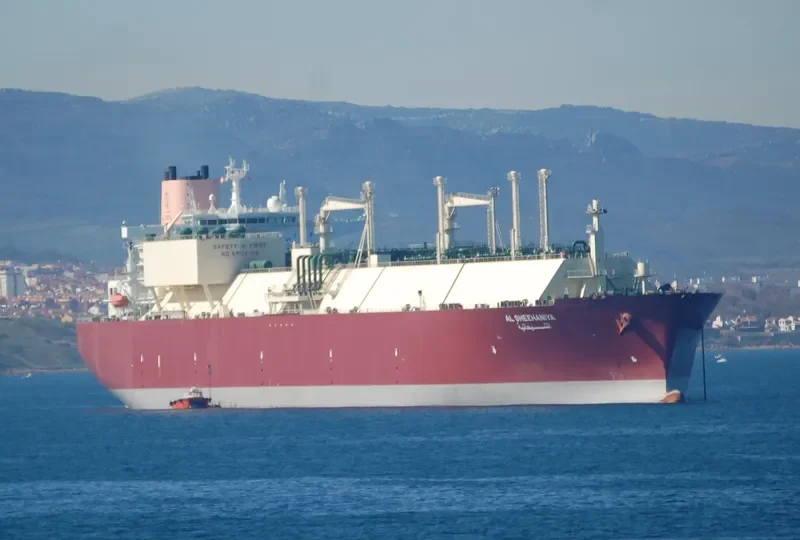 AL SHEEHANIYA General Cargo IMO 9360831 photo 10