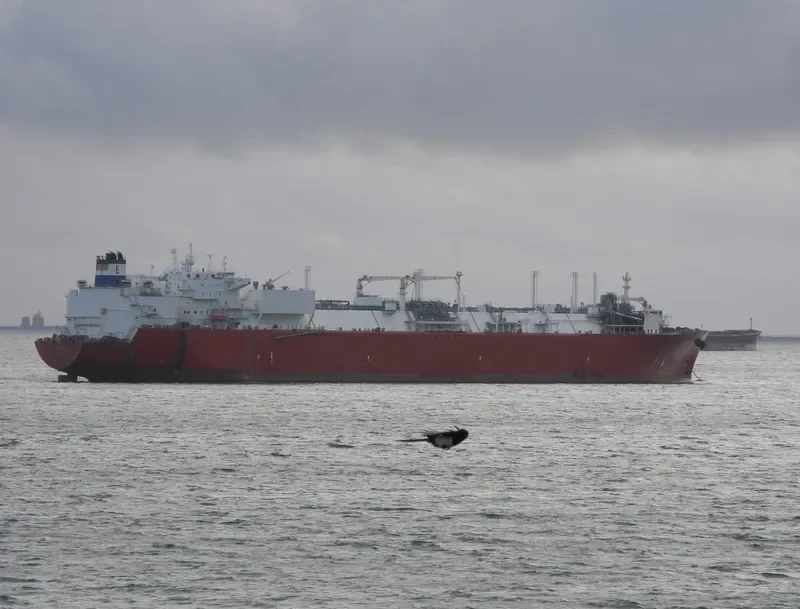 EXPLORER General Cargo IMO 9361079 photo 10