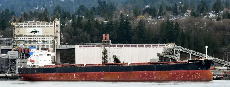 STAR GEORGIA Bulk Carrier IMO 9361196