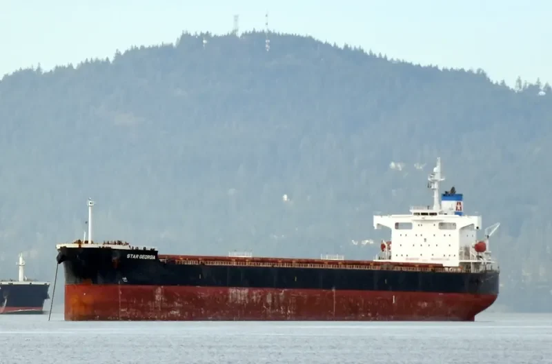 STAR GEORGIA Bulk Carrier IMO 9361196 photo 3