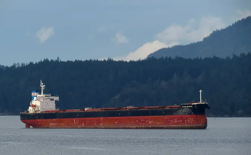 STAR GEORGIA Bulk Carrier IMO 9361196 photo 4
