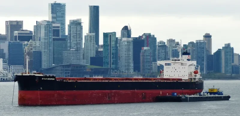 STAR GEORGIA Bulk Carrier IMO 9361196 photo 6