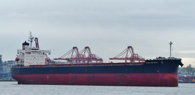 STAR GEORGIA Bulk Carrier IMO 9361196 photo 7