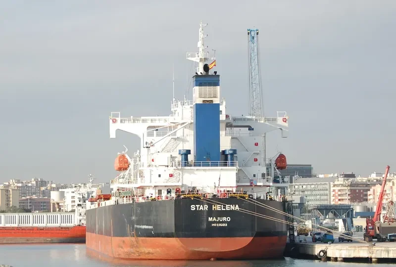STAR HELENA Bulk Carrier IMO 9361213 photo 4