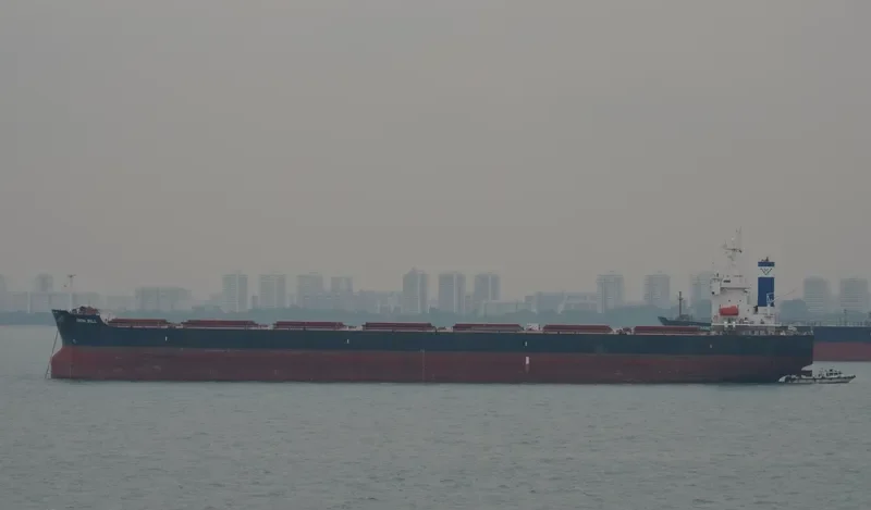STAR HELENA Bulk Carrier IMO 9361213 photo 7