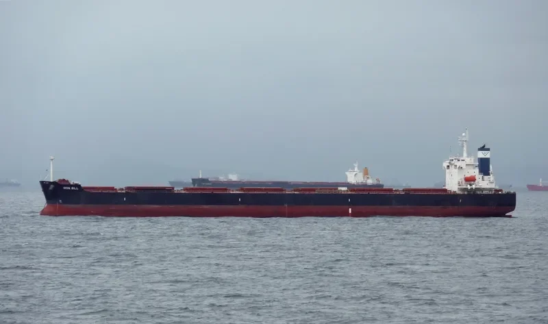 STAR HELENA Bulk Carrier IMO 9361213 photo 8