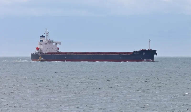 STAR HELENA Bulk Carrier IMO 9361213 photo 9