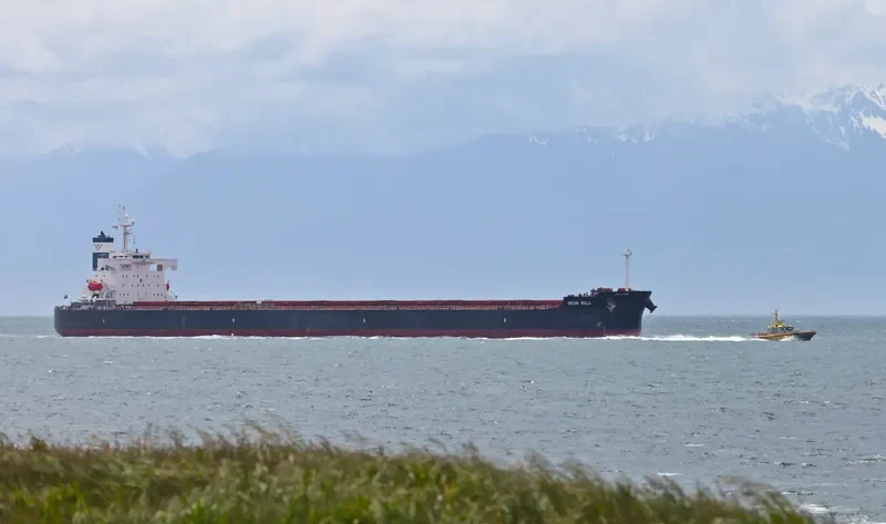 STAR HELENA Bulk Carrier IMO 9361213 photo 10