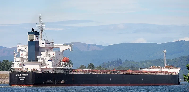 STAR MOIRA Bulk Carrier IMO 9361225 photo 2