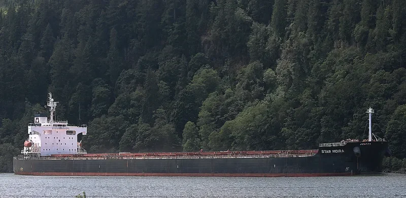 STAR MOIRA Bulk Carrier IMO 9361225 photo 4