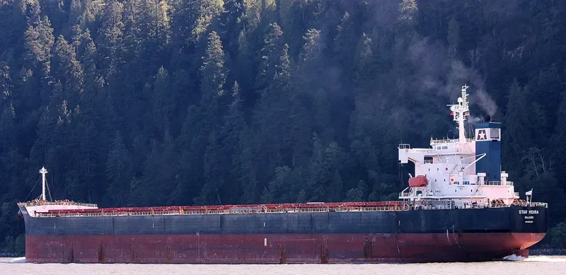 STAR MOIRA Bulk Carrier IMO 9361225 photo 5
