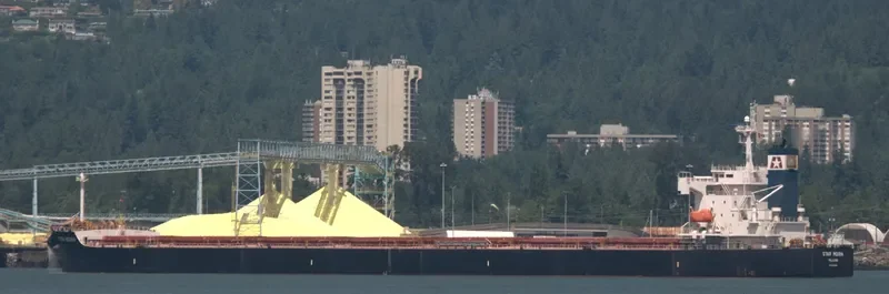 STAR MOIRA Bulk Carrier IMO 9361225 photo 10