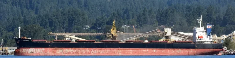 STAR NASIA Bulk Carrier IMO 9361237 photo 5