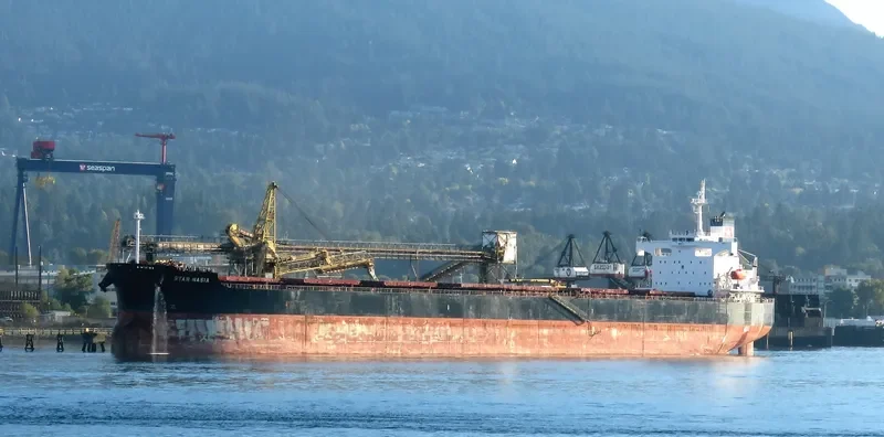 STAR NASIA Bulk Carrier IMO 9361237 photo 6