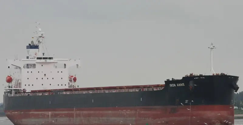 STAR NASIA Bulk Carrier IMO 9361237 photo 7