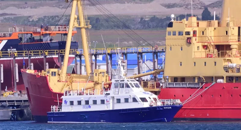SKUA General Cargo IMO 9361287