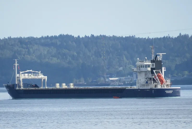 AMBASSADEUR Container Ship IMO 9361328 photo 8
