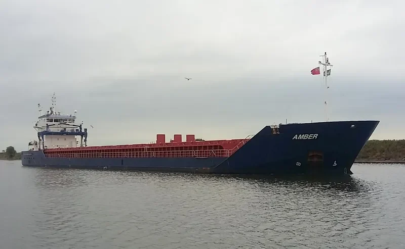 AMISIA General Cargo IMO 9361378 photo 10