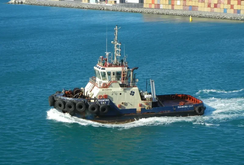 DIAMOND CAY General Cargo IMO 9361536 photo 2