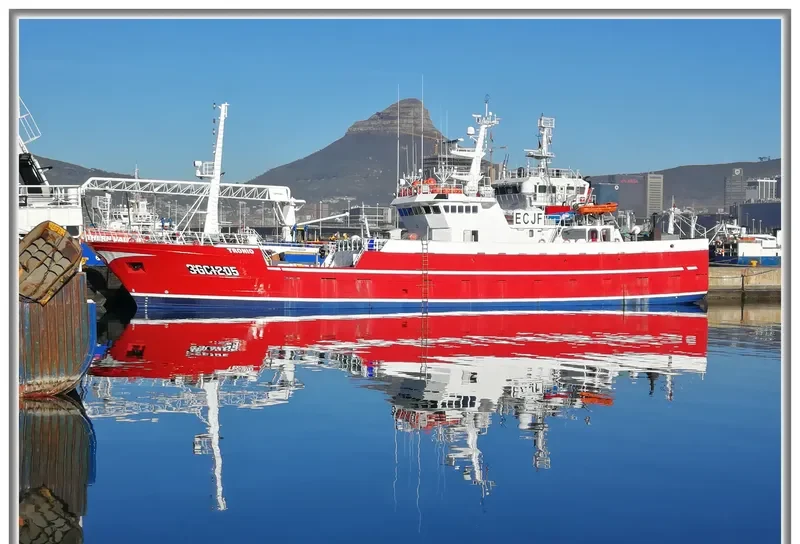 TRONIO General Cargo IMO 9361603 photo 4
