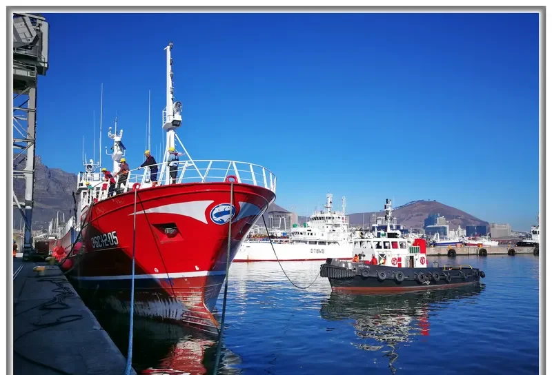 TRONIO General Cargo IMO 9361603 photo 5