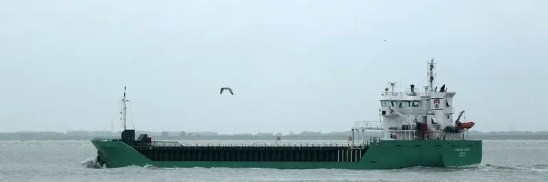 ARKLOW FAITH Container Ship IMO 9361718 photo 8