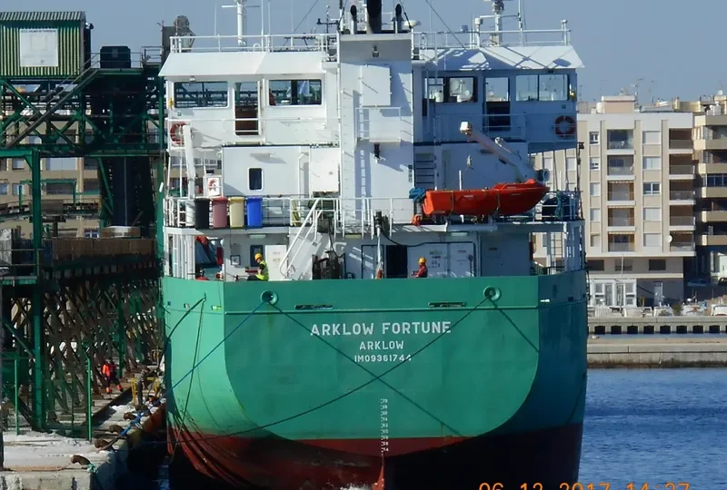 ARKLOW FORTUNE Container Ship IMO 9361744