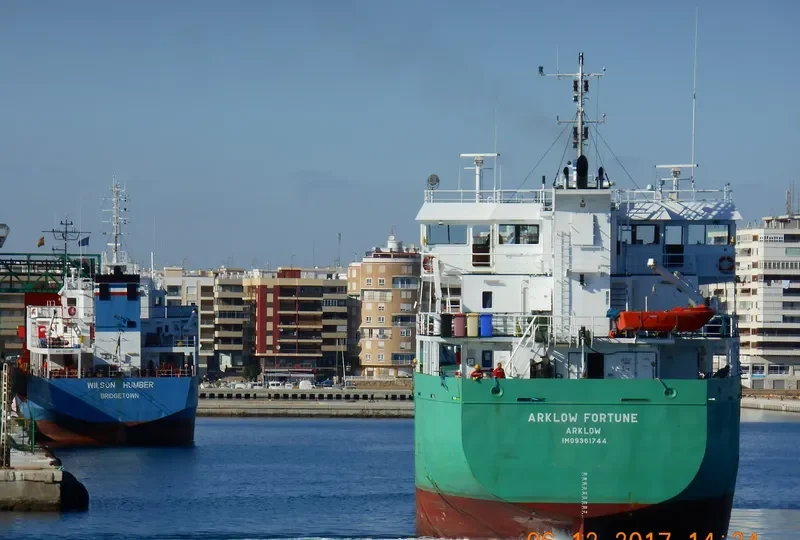 ARKLOW FORTUNE Container Ship IMO 9361744 photo 2